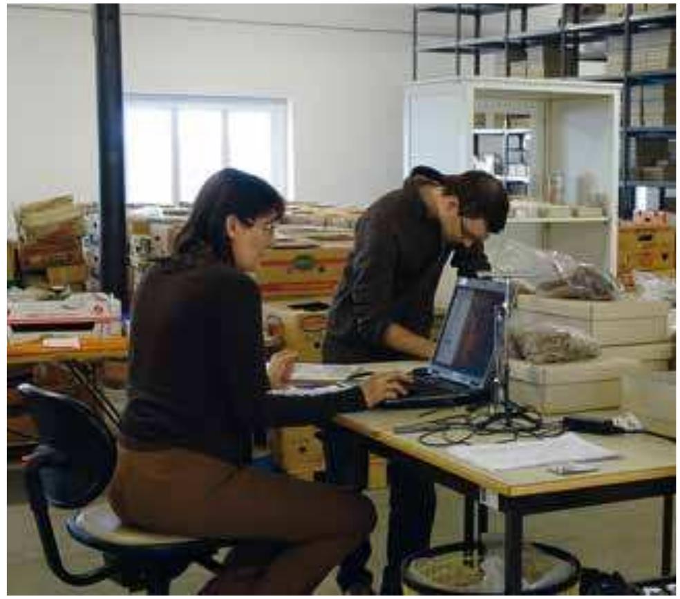 Fig. 28 M. Griebl and B. Biederer working on finds from Still- fried in the depot of the Lower Austria Museum in Hainburg (photo: M. Lochner) 