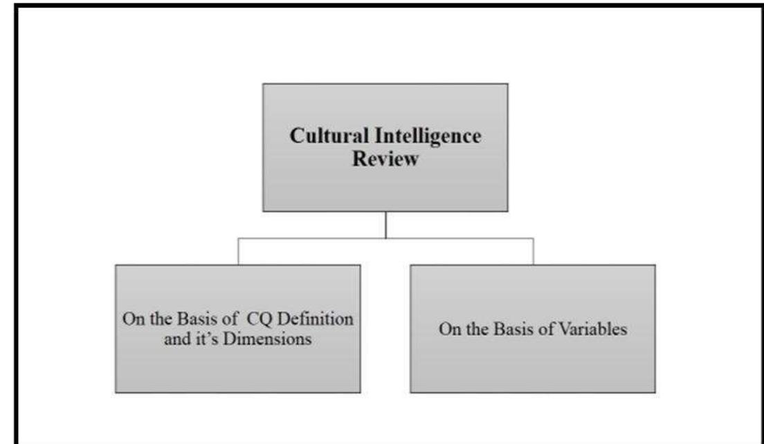 Figure |: Different Approaches to Cultural Intelligence Review 