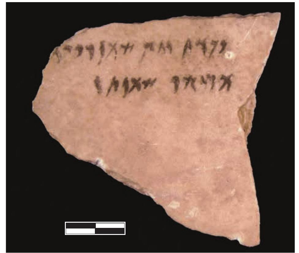 The study of the inscriptions was initiated by M. Sznycer, who in 2004 published four ostraca® and identified on two of them the name of a container or a measuring unit for liquids and the Phoenician word for oil (SMN); consequently, he proposed that some of the inscriptions were administrative records listing quantities of agricultural products, mainly oil; this proposal fitted well with the discovery of olive presses during the excavations.® The reading of the noun ‘oil’, present on the first ostracon studied by Sznycer, was confirmed later; with Sznycer’s permission, Ch. loannou studied the same object in 2007, and read also the word “oil” (fig. 1).'° 