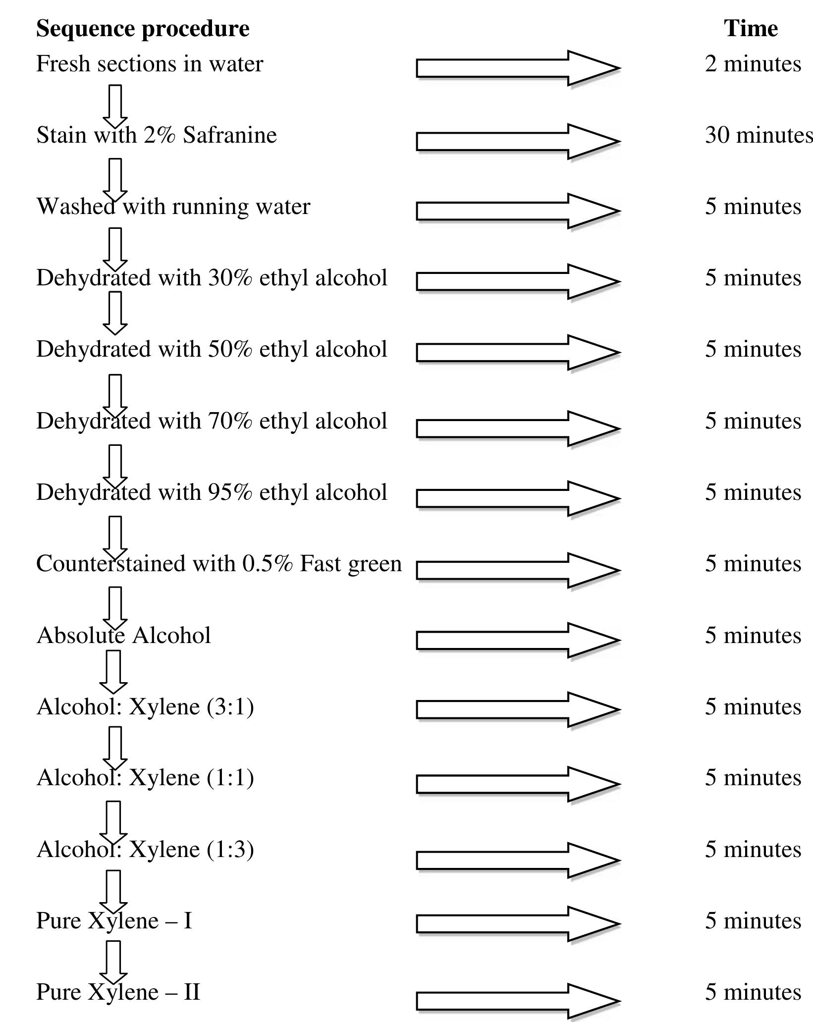 Fig. 1 Flow chart showing outline of staining procedure  anatomical features and the procedure adopted is given below: 