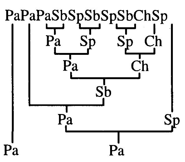 Finally, we apply all the relevant rules, from among rules 2 to 6, to the kin-type formula. It is simplest to work from left to right, and progressively down the page, until no more reductions are possible:  Thus, by reducing PaSb... to Pa... (applying Rule 3b), ...SpSb to ...Sp (applying Rule 