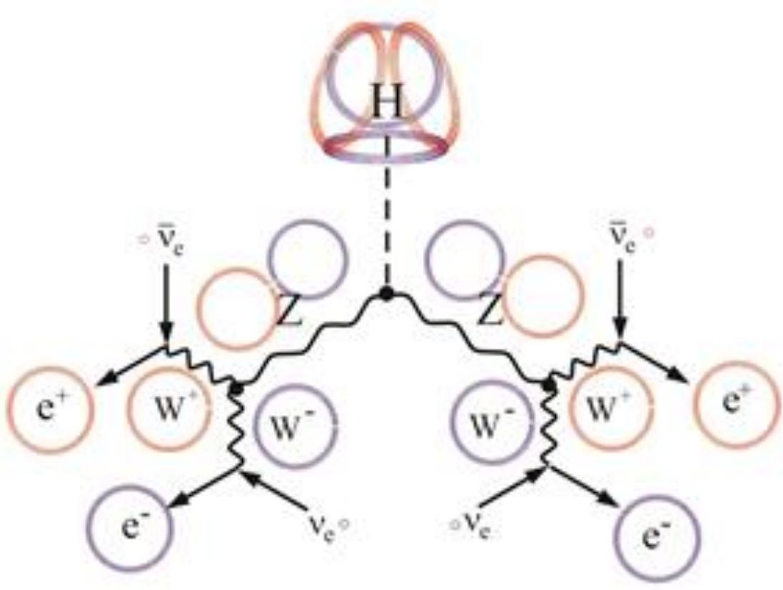 The quantized structure of many a particle can be inferred from its decay scheme. The decay of Higgs boson to a pair of Z-bosons [59] suggests to us that it is a perfect tetrahedron with four open torus (Figure 7), and hence the Higgs particle its own antiparticle. The mass of Higgs, as well as those ot weak bosons, W-, W* and Z is big because each torus ring is open by being short of one small neutrinc loop. These tiny slots will accommodate only very high-frequency photons of the vacuum, i.e., high energy density, and hence the particle energy is high compared to the vacuum and it is also short- lived. According to the modern atomism the Higgs particle, apart from being a highly symmetric particle, is not special from other particles when considering the concept of mass as geodesic curvature (Eq. 3) [60].  Figure 7. The decay scheme of Higgs boson (H) to two Z bosons, and further to W bosons and to electrons (e-) and positrons (e*) via neutrino (ve) absorption, implies that the Higgs boson is a highly symmetric tetrahedron of quanta (at top). Most of its mass, i.e., the particle’s high energy attributes  to tiny slots in the open rings that are matched by high-frequency photons of the vacuum. (Illustration by Mathematica)  electrons (e-) and positrons (e*) via neutrino (ve) absorption, implies that the Higgs boson is a highly 