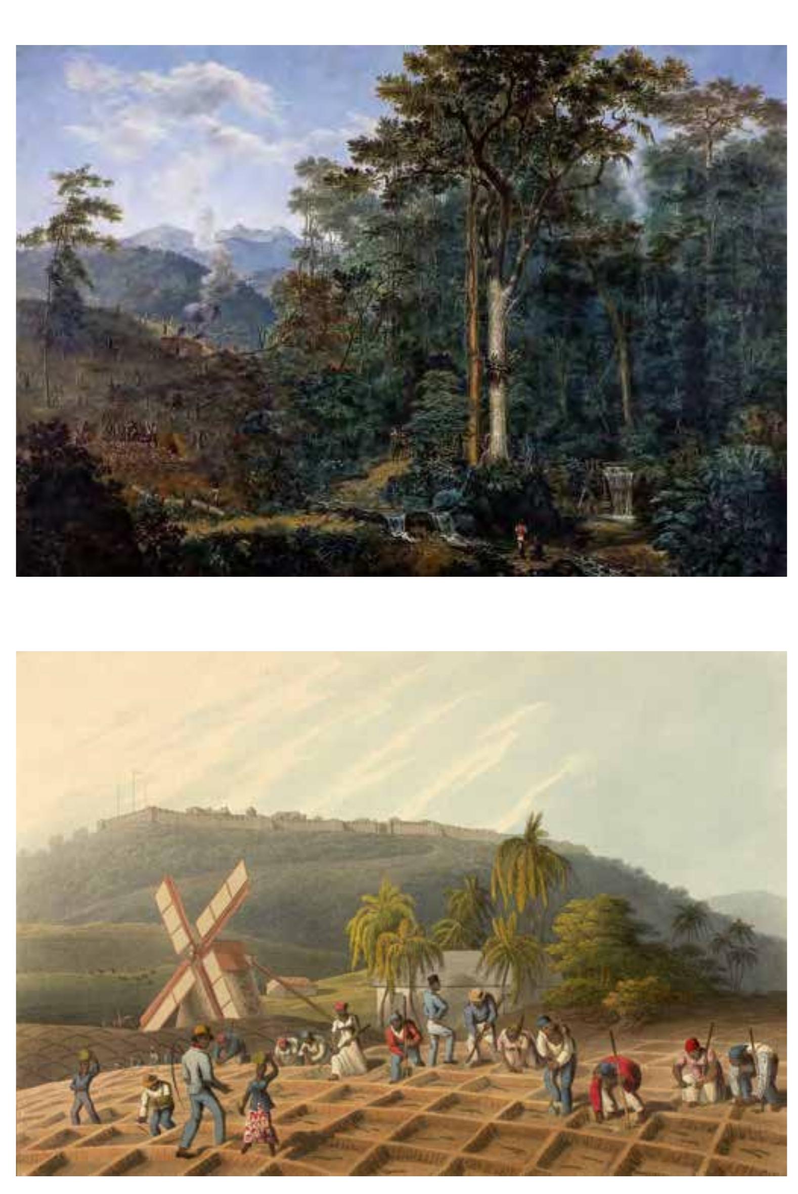 Figure 3. Félix Emile Taunay (1795-1881), View of Native Forest being reduced to Coal. c. 1840. Height: 134 cm (52.7 in); Width: 195 cm (76.7 in). Museu Nacional de Belas Artes, Rio de Janeiro. Wikimedia. Public Domain. 