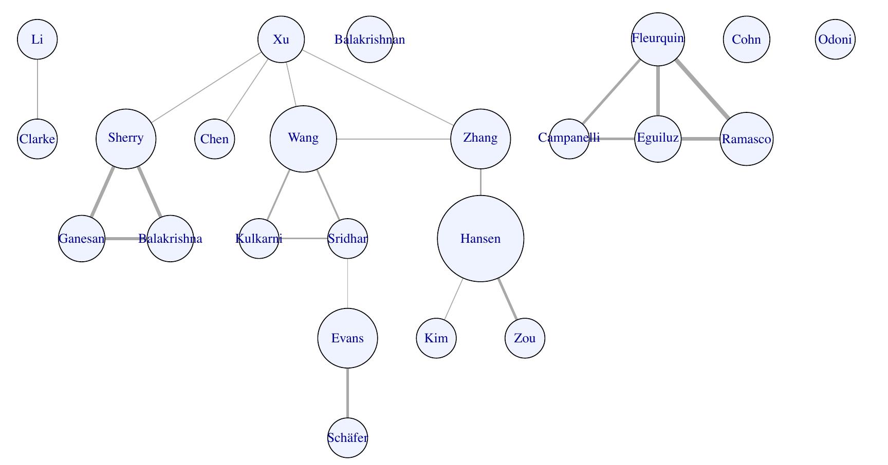 Figure 7: Collaboration network of main authors in subject 