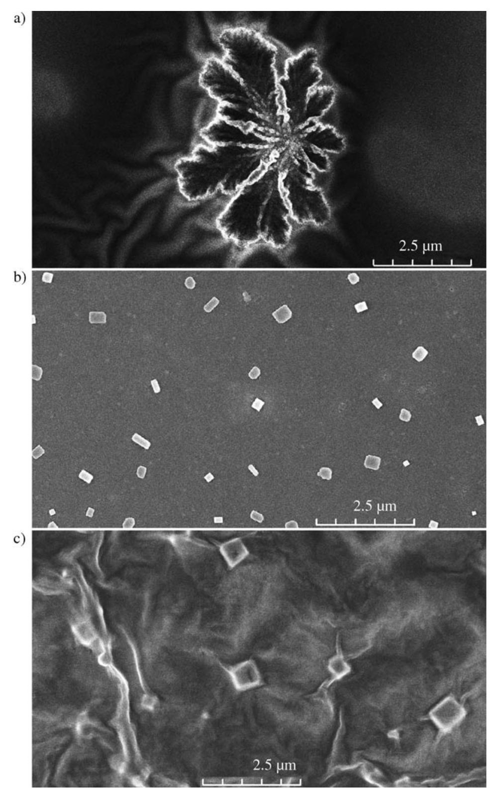 Figure 6. SEM images for a) pure functionalized peptide 3, b) pure un- functionalized peptide 1, and c) unfunctionalized peptide 1 blended with 90 wt % of PVA. 