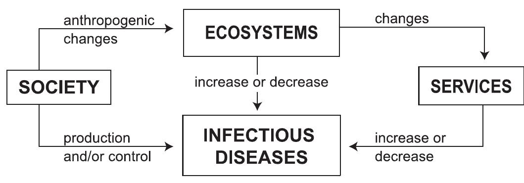 Figure 14.2. Relationships between Society, Ecosystem Services, and Human Infectious Diseases 