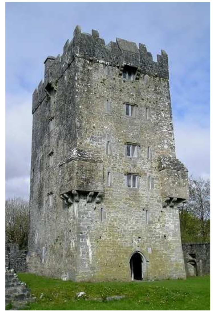 Fig. 5. Aughnanure Castle c. C16. From the east. The rooftop machicolation is reconstructed, but the corner bartizans are original.  The yett or iron grate 