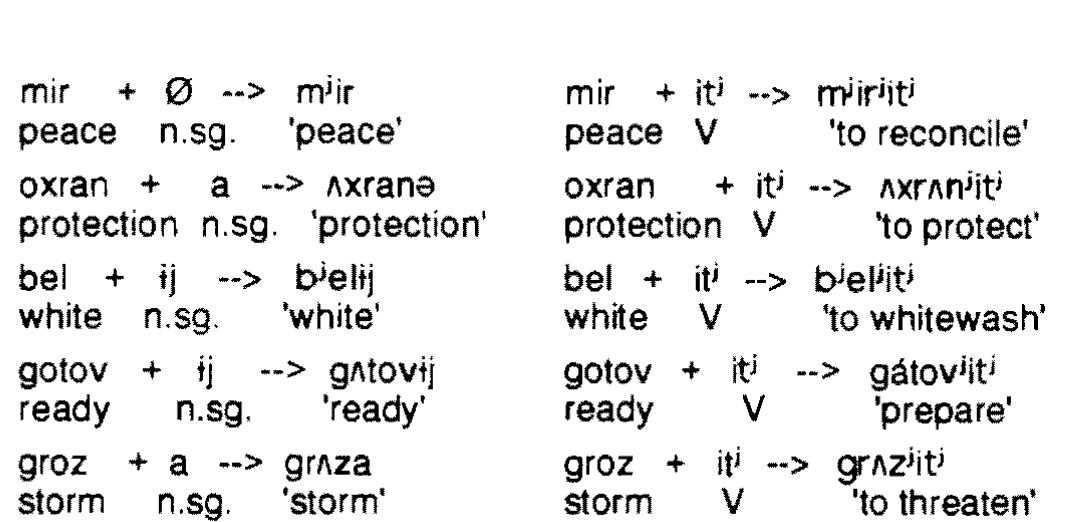 Let us now consider the effect of cyclic palatalization on the voiceless velar stop. This segment has a fronted counterpart in the UR, as demonstrated in (8):  Now, if fronted velars were indeed palatalized counterparts of plain velars, then, given that cyclic palatalization is structure preserving, we would expect it to derive fronted velars. This effect is observed commonly across languages: if the segment inventory of a language contains a palatalized counterpart (e.g., Ati of the segment targeted for palataliza- tion (A/), the result of palatalization is the palatalized counterpart (/ti/) (see Gorecka (1991) for further discussion). Contrary to this expectation, in Russian, velars turn into palato-alveolars under cyclic paiatalization: 