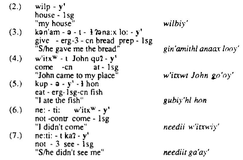 Two types of evidence seem to suggest that these suffixes serve the same function as full NPs, First, the suffixes occur in the same string positions as nominals with the same grammatical function - immediately after a lexical head. This can be seen by comparing (2) - (7) with (8) - (13) below, which have nominal  arguments,  The distribution of these person markers is illustrated in (2) through (7) using th Ist person singular suffix /-y'/. Attached to a noun, as in (2), the suffix indicates the possessor. Attached 1o a preposition, it may realise an oblique argument of a verb, as in (3), or the object of a preposition, as in (4). Attached to a verb it may indicate either a subject, as in (5) - (6), or an object, as in (7). 4 