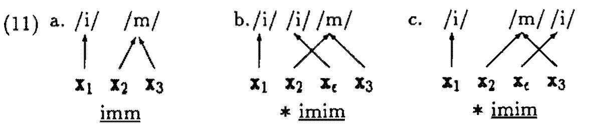 Such configurations are ruled out by the No Crossing Constraint (‘NCC’) Goldsmith 1976). The conclusion is that the epenthesis rule is prevented from  The basis of the current AP account of formal integrity originates with ar »bservation of Kaye (personal communication cited by Halle and Vergnauc |980) and independently Kenstowicz, Bader and Benkeddache (1982). Wher ome segment /i/ is inserted into the true geminate of (lla), the geminate -annot house the epenthetic vowel without resulting in crossing associatior ines (11b,c). 