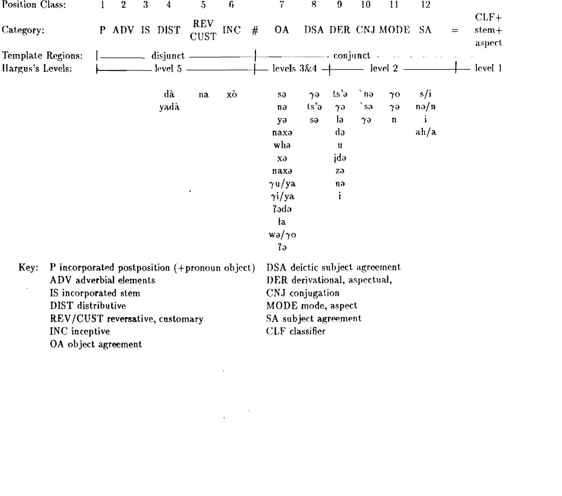 Templatic description of the Sekani verb (modified from Hargus 1988) 