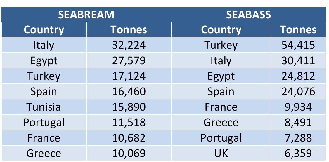 The main market for seabream is Italy, where more than 30,000 tonnes are consumed annually (Table). The following three markets are Egypt, Turkey, and Spain. Among the main markets, there are clearly those that are supplied with domestic production (Turkey, Egypt, Greece and Tunisia) and those that are increasingly dependent on imports (Italy, Spain, France and Portugal). The main market for seabass consumption is Turkey with more than 50,000 tonnes. The Turkish seabass market is supplied with domestic production, as  is the case in Egypt and Greece. On the contrary, the main markets in the EU, Italy, Spain, France, UK anc Portugal turn to imports to meet their domestic demand. 