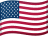 Flag of US