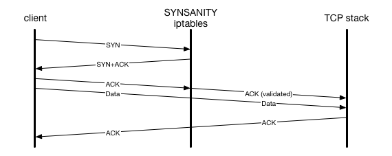 synsanity packet flow