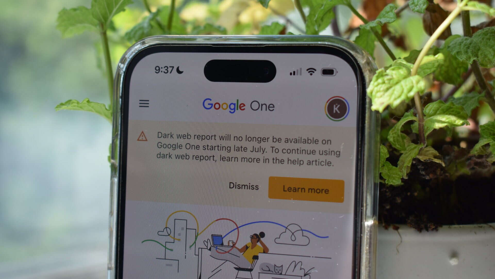 An iPhone 14 Pro showing the Google One app in front of a house plant.