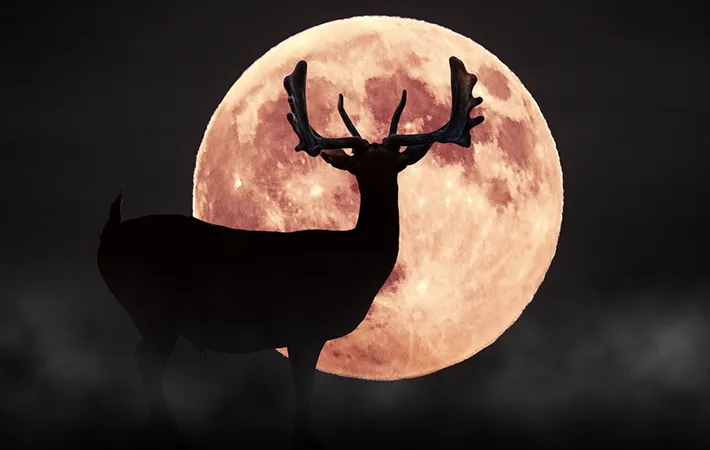 ハーベストムーンやコーンムーン以外にも別の呼び方がある？