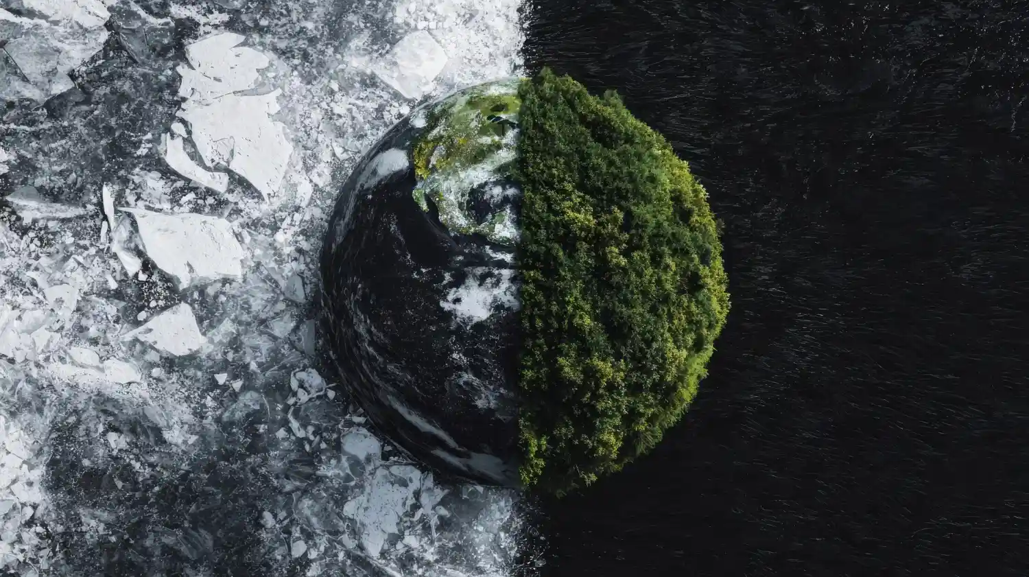 Carbon cycle explained