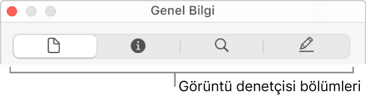 Görüntü denetçi bölümleri.