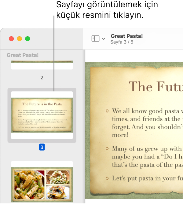 Küçük resimleri kenar çubuğunda görüntülenen bir PDF.