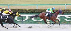 カトレアステークスを制したサトノボヤージュ（右）