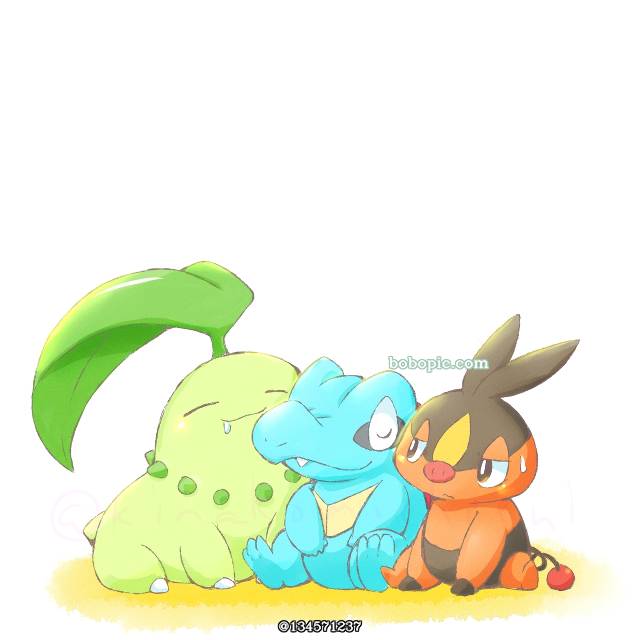 精灵宝可梦,这些小家伙真可爱图片