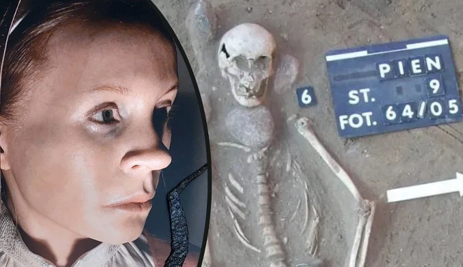  Źródło: Projekt Pień/TSE Ewolucja