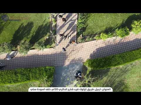 Knowledge University