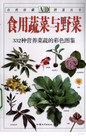 [PDF] 食用蔬菜与野菜