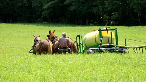 A farmer drives a horse and cart loaded with a barrel containing urine through a field (Credit: Rich Earth Institute)