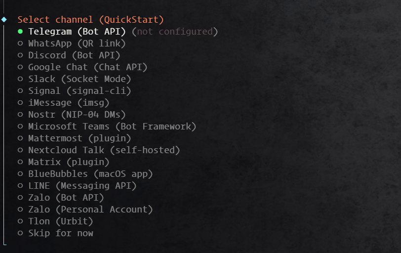 Clawdbot channel 渠道配置选项