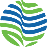 Vedanta Share Price