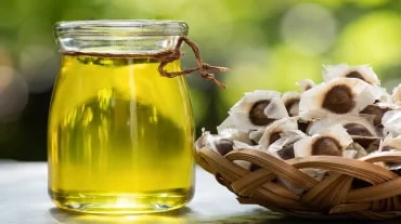 moringa oil