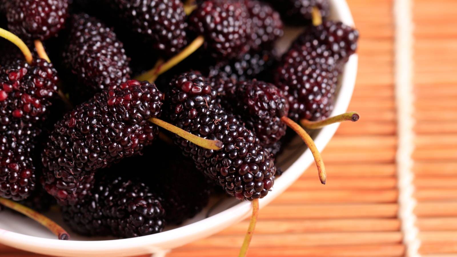 Mulberry fruits benefits