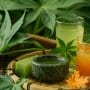 healthy diet dengue se recovery asana bana deti hai
