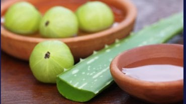 amla and aloe vera for hair