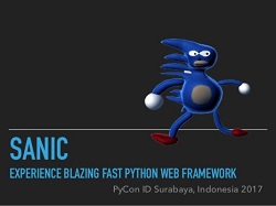 Top Python Frameworks