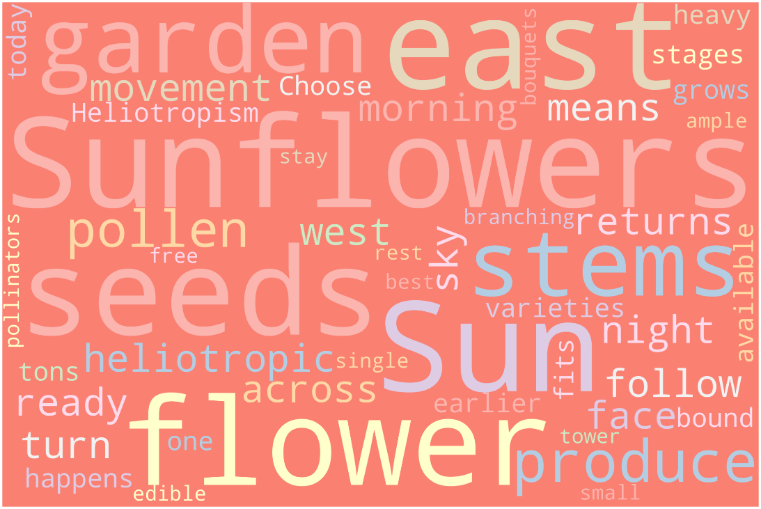 Wordcloud Package in Python