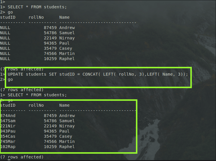 SQL Server Left Function