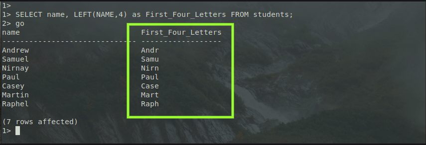 SQL Server Left Function