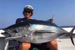 釣り人の憧れであるマグロ