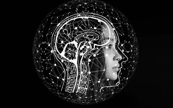 5K Ultra HD PC desktop wallpaper/background: monochrome human profile merged with an anatomical brain, overlaid by interconnected neural-network lines inside a luminous spherical grid.