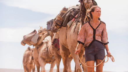 movie tracks HD Desktop Wallpaper | Background Image