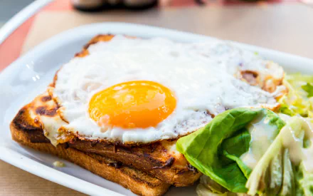 HD desktop wallpaper featuring a close-up of a sunny-side-up egg on toasted bread, accompanied by fresh green lettuce on a white plate.
