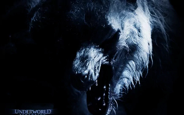 HD PC desktop wallpaper featuring a dark, intense image from the movie Underworld: Evolution, showcasing a snarling wolf-like creature in dramatic lighting.