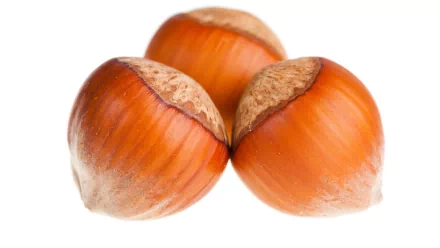 HD PC desktop wallpaper featuring a close-up of three whole hazelnuts with smooth brown shells against a clean white background.