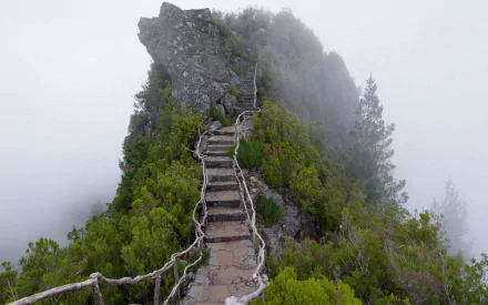 HD desktop wallpaper featuring a man-made wooden staircase winding up a mist-covered mountain ridge surrounded by lush greenery.