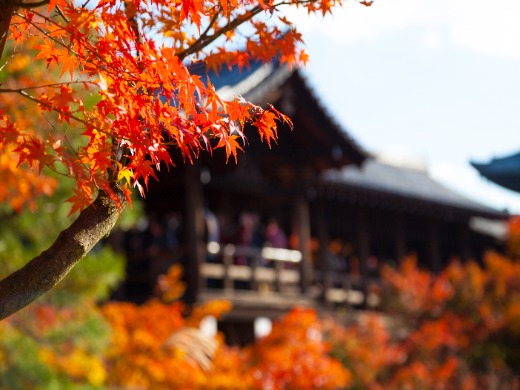 京都　イメージ