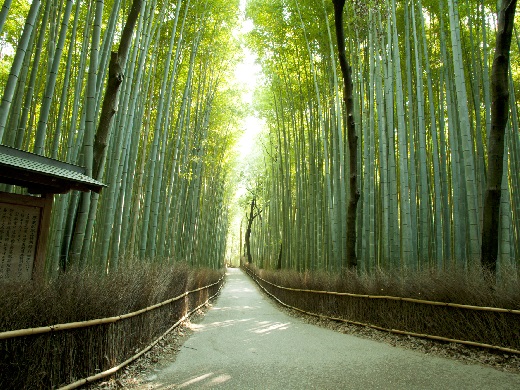 古都・京都への旅