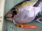 久米島 FISHING ISLAND