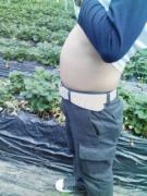 どっぷりポーポー日記